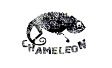  Поставка від вітчизняного бренду CHAMELEON